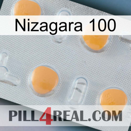 Nizagara 100 24